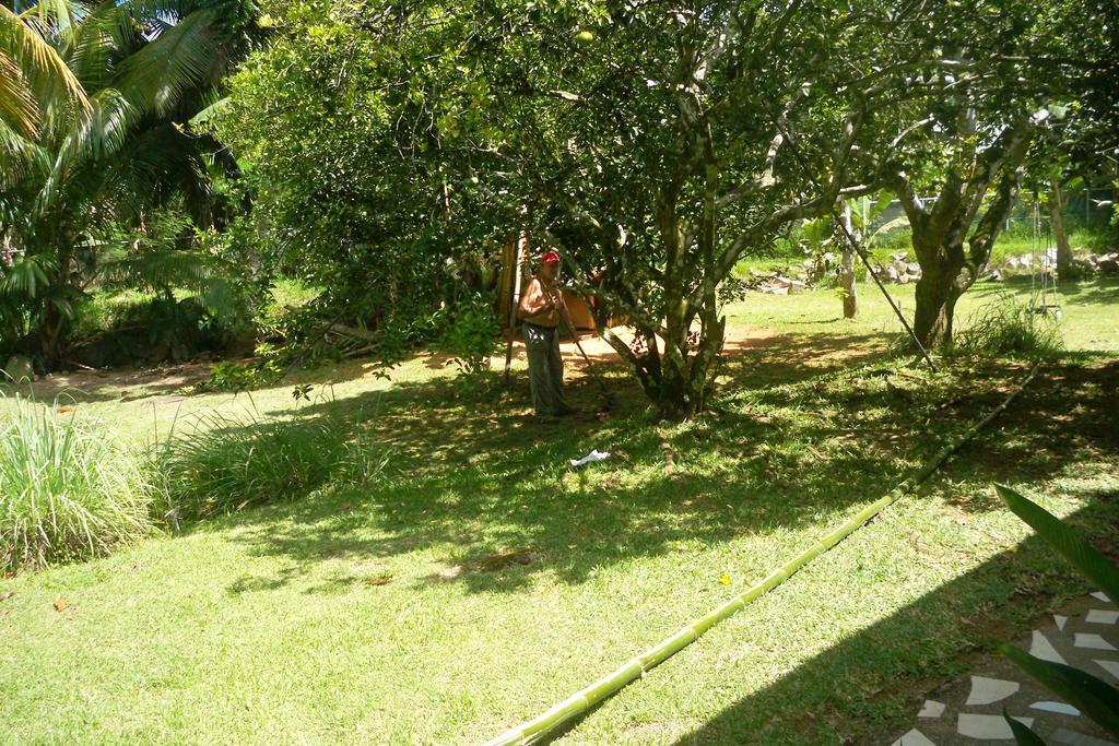 Chez Julie Villa Anse Boileau Bagian luar foto